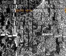 Fotografía Artística Dimensiones 128 cms x 022 fotografia_artistica_4_20140701_1123843821